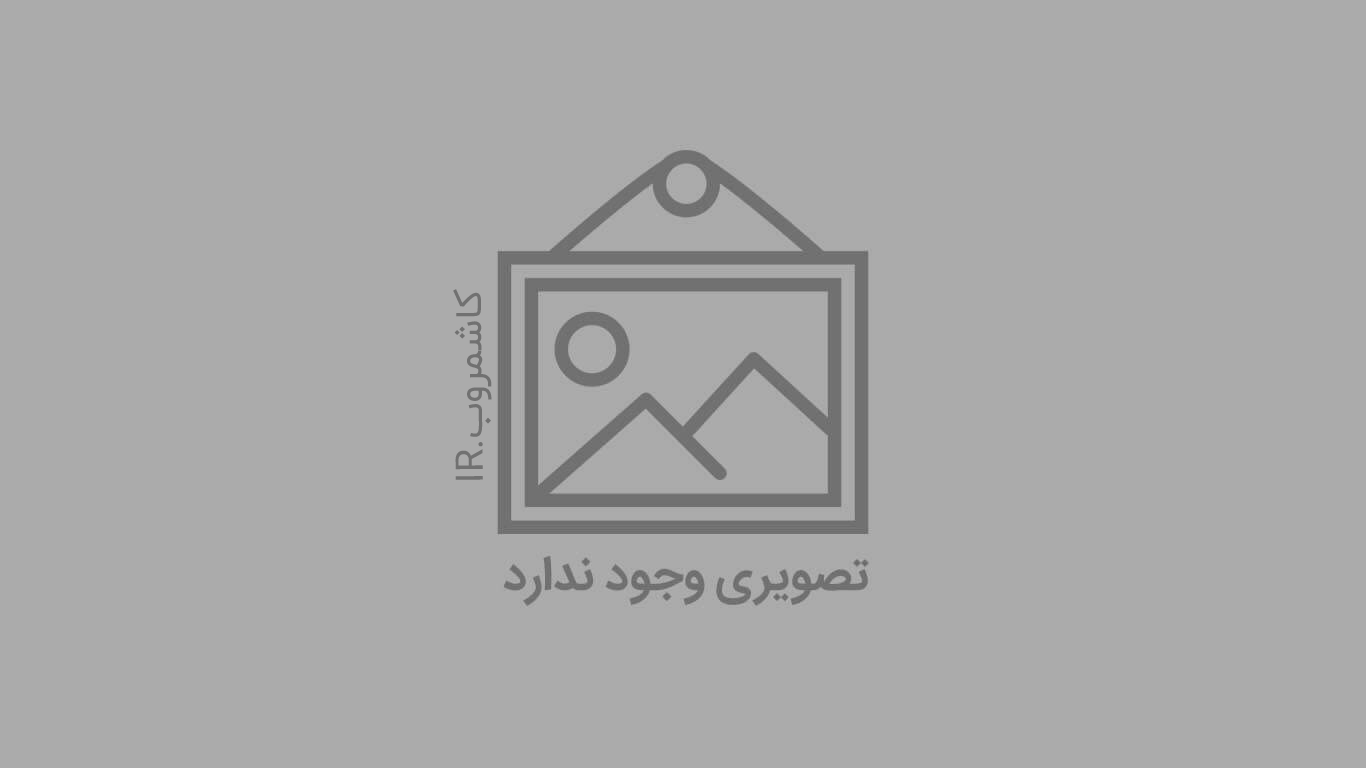 وزیر بهداشت: از یکایک عاشقان اهل‌بیت دلجویی می‌کنم/ سوءبرداشت‌ها امام حسین (ع) را از ما جدا نمی‌کند