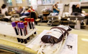 مدیر کل انتقال خون در هرمزگان عنوان کرد:نیاز فوری به اهدای خون در هرمزگان