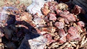 امحای یک تن و ۲۰۰کیلوگرم مرغ و گوشت فاسد در رودان