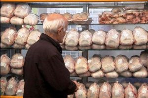رئیس سازمان جهادکشاورزی هرمزگان: مرغ گرم به اندازه نیاز در هرمزگان کشتار می‌شود