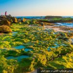 افزایش مشارکت مردمی در طرح‌های اجتماعی هرمزگان